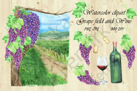 Download Watercolor Clipart Grape Field and Wine - Watercolor clipart Collection
